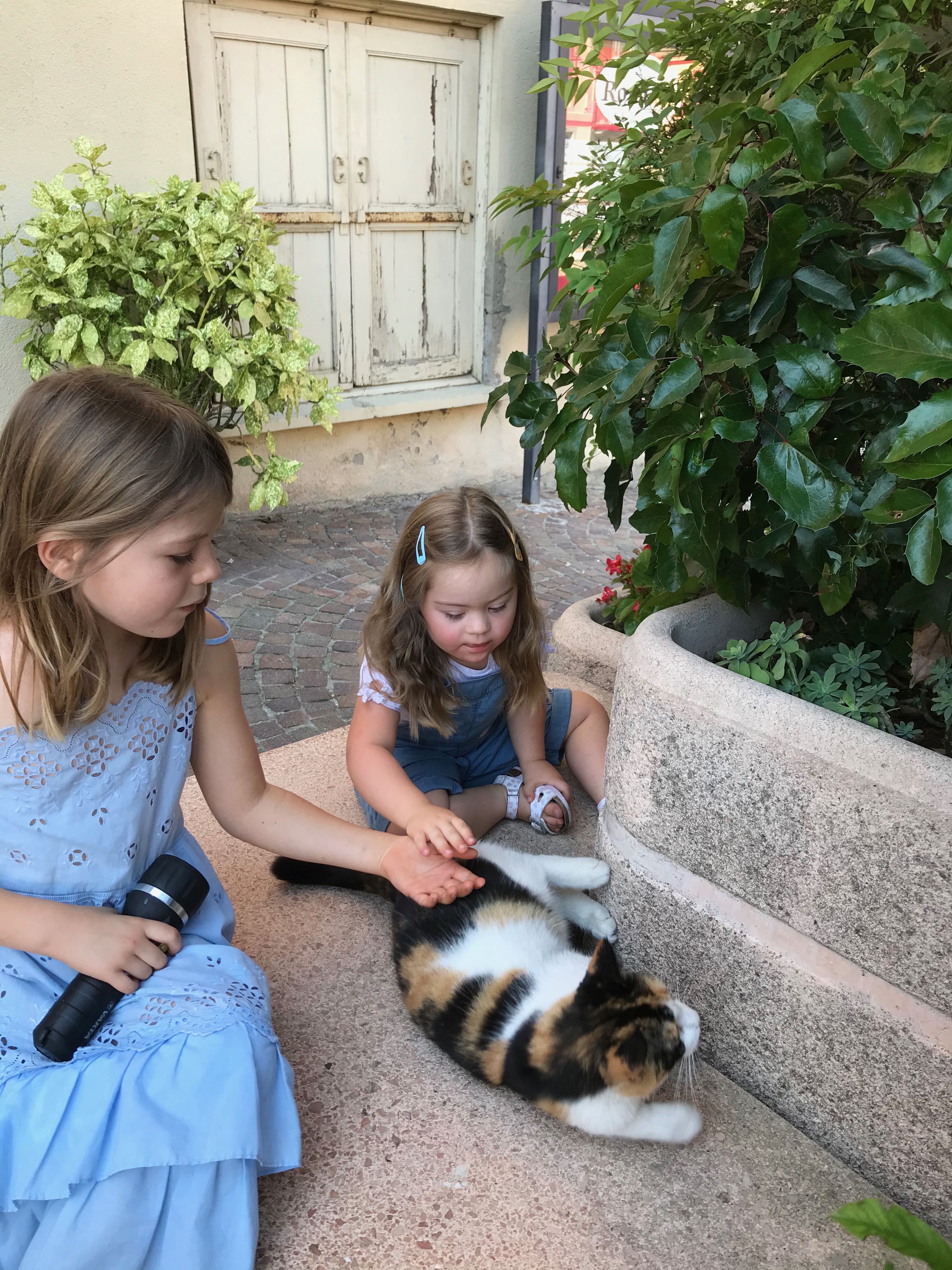 Photo of Nicole's daughters with their neighbour's cats.