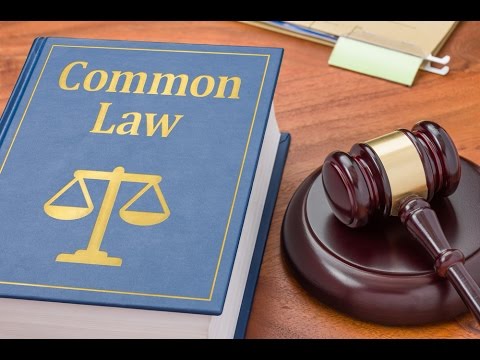 Common Law book and gavel
