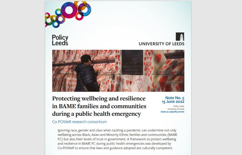 Co-POWeR policy brief