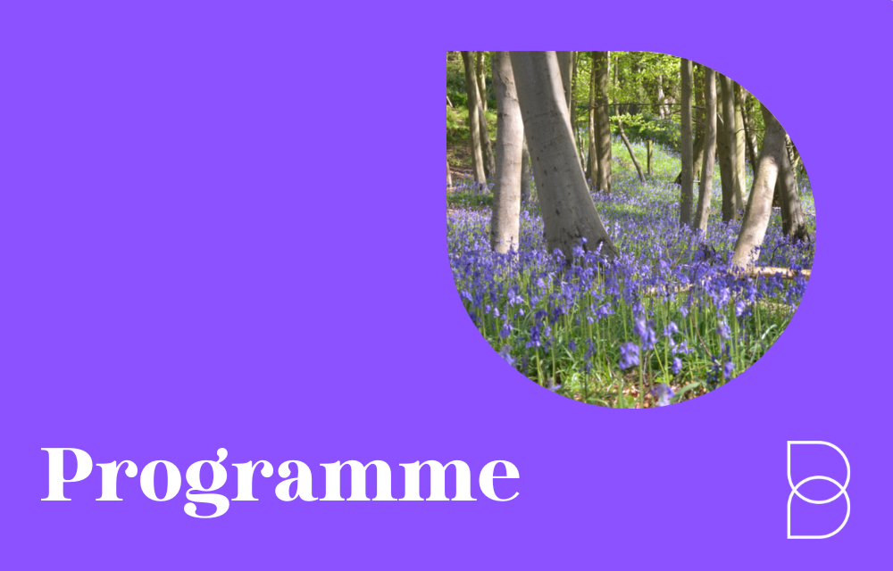 A preview box with the word Programme and the Bonavero Insititute of Human Rights logo