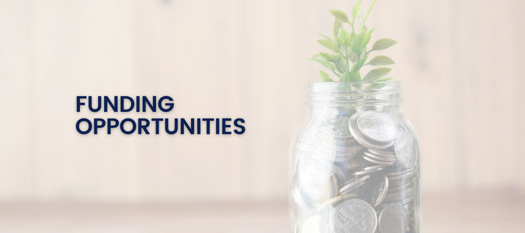 jar with coins and tree coming out of it