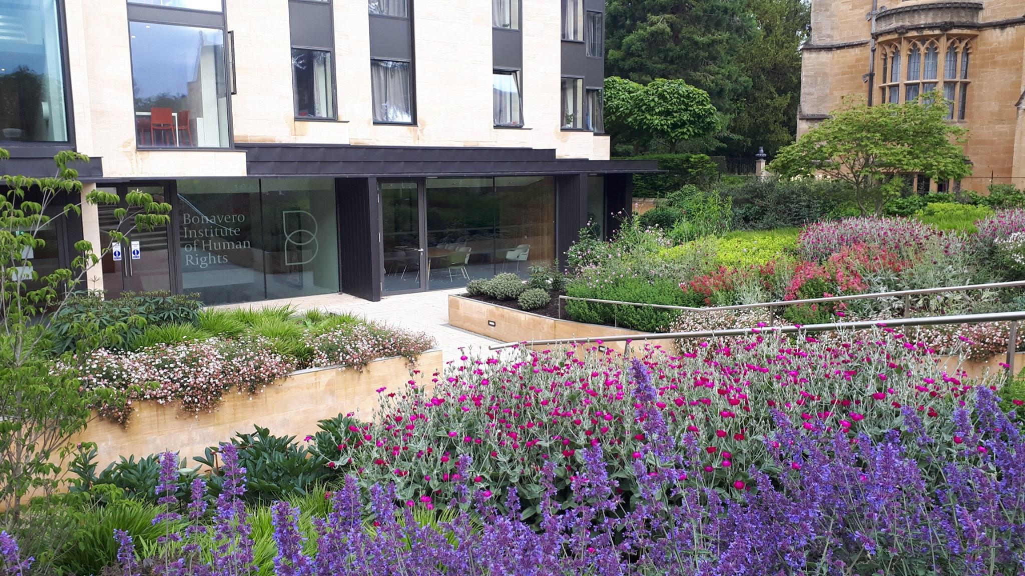 Bonavero Garden