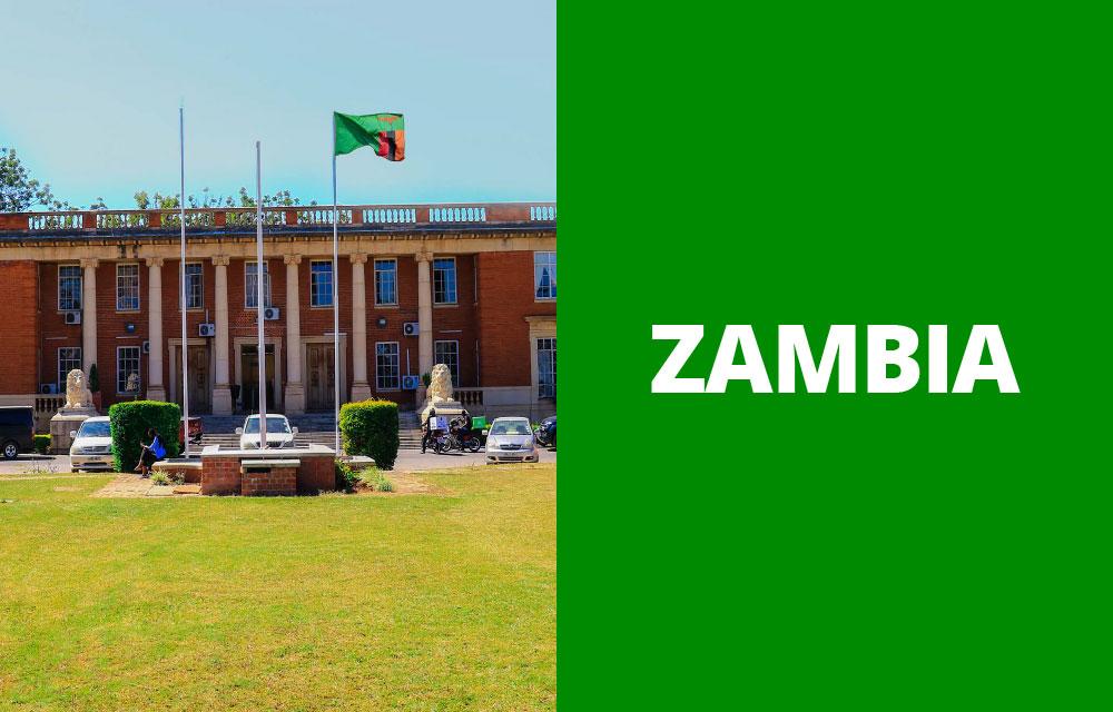 Cover of Civil Liability for Human Rights Violations - Zambia