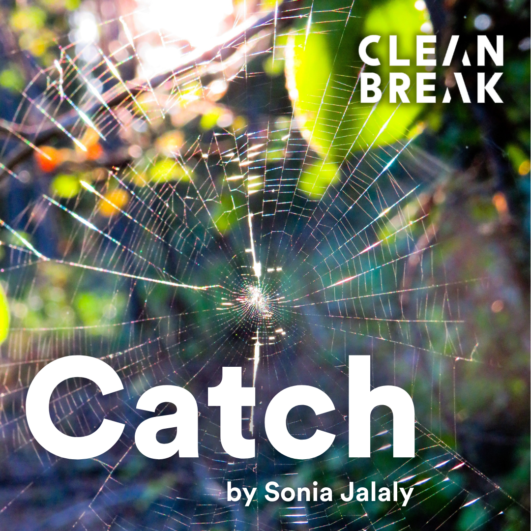 catch by Sonya Jalaly poster