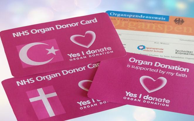 Organ donation cards, Copyright: Jodie White.