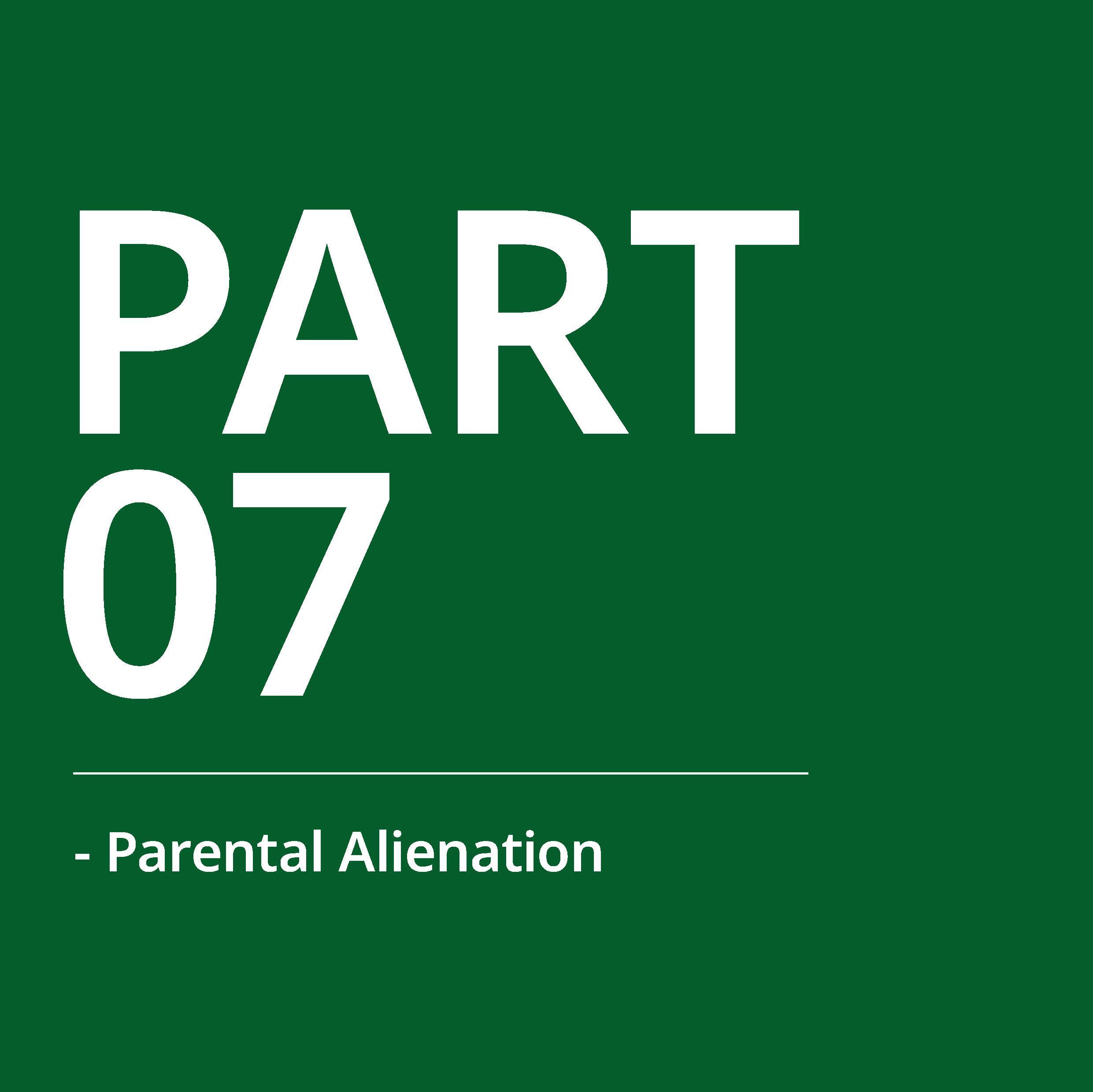 Family Justice Response to Domestic Abuse - part 7