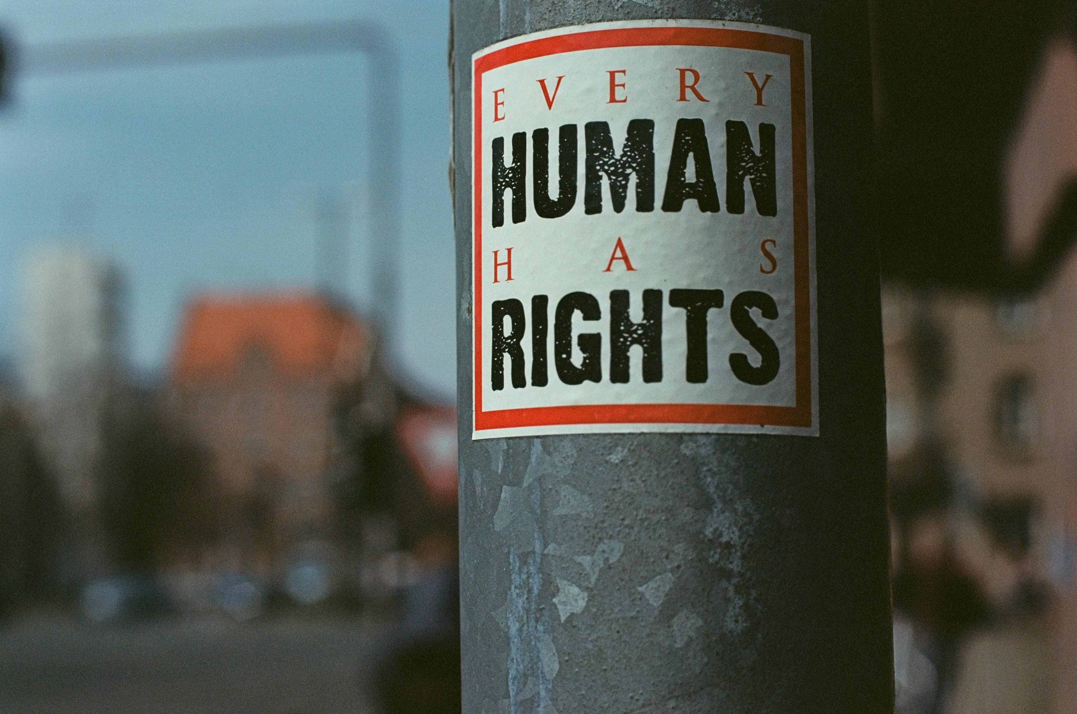 Every Human Has Rights poster