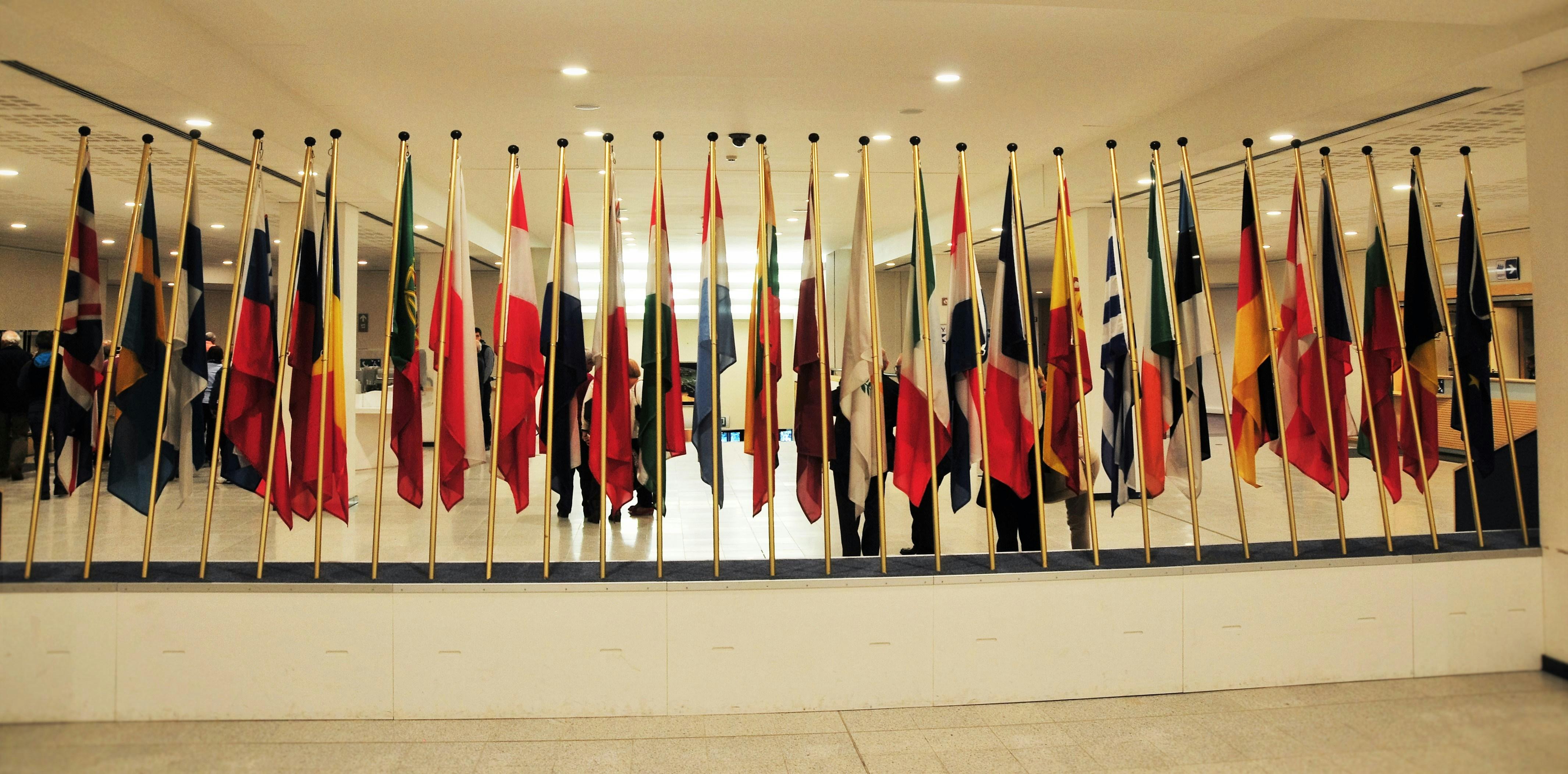 european union flags in a line